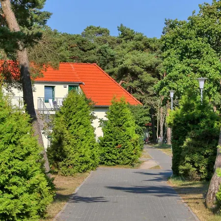 Gorgeous In * Altenkirchen (Mecklenburg-Vorpommern)